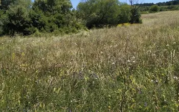 Auction image Farmland