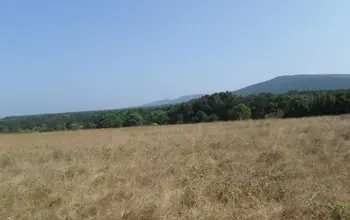 Auction image Farmland