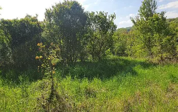 Auction image Парцел (ПИ, УПИ, двор)