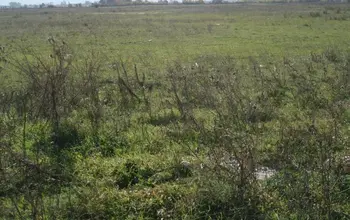 Auction image Land for building