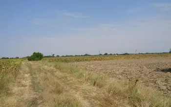 Auction image Farmland