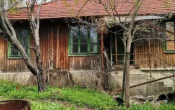 Auction image House