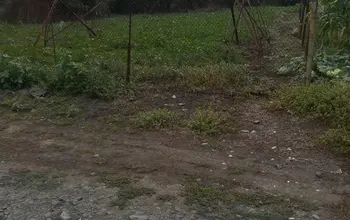 Auction image Land for building