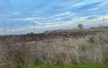 Auction image Farmland