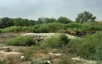 Auction image Land for building