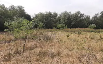 Land for building