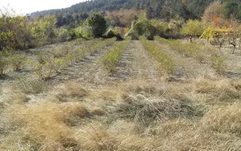 Auction image Land for building