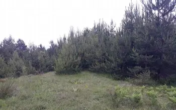 Auction image Land for building