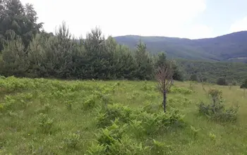 Auction image Land for building