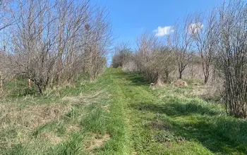 Auction image Land for building