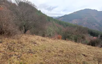 Auction image Land for building