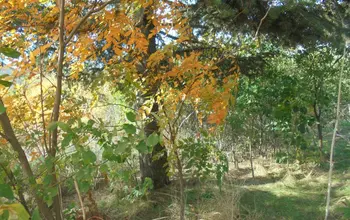 Auction image Land for building