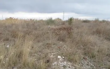 Auction image Land for building