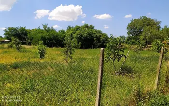 Auction image Land for building