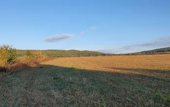 Auction image Farmland