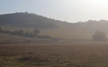 Auction image Farmland