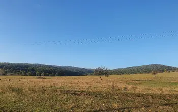 Auction image Farmland