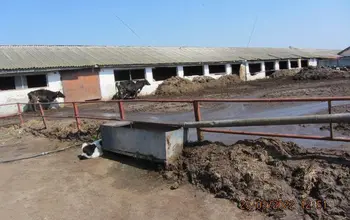Auction image Други