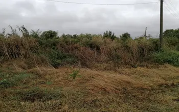 Auction image Land for building