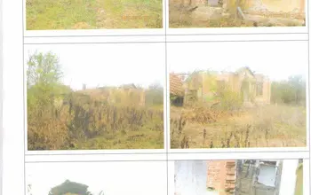 Auction image House