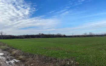 Auction image Farmland