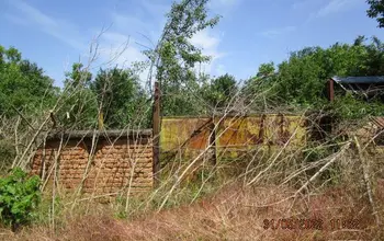 Auction image House