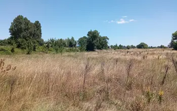 Auction image Farmland