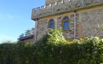 Auction image House