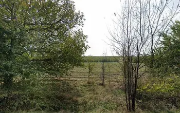 Auction image Земеделска земя/имот, ферма, парник/оранжерия