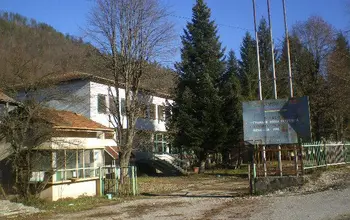 Factory, Manufacturing