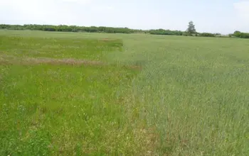 Auction image Farmland