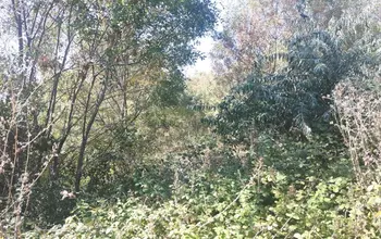 Auction image Farmland