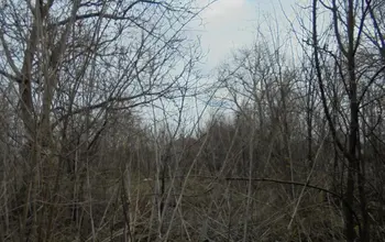 Auction image Land for building