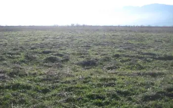 Farmland