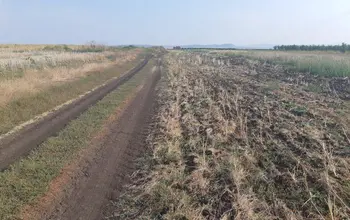 Auction image Farmland