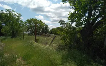 Auction image Farmland