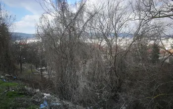 Auction image Land for building