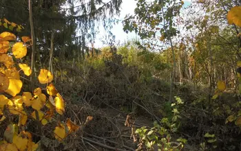 Auction image Land for building