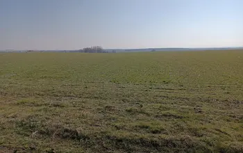 Auction image Farmland