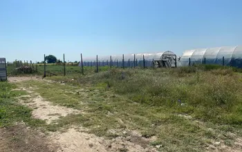 Auction image Farmland