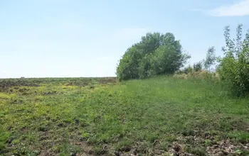 Auction image Парцел (ПИ, УПИ, двор)
