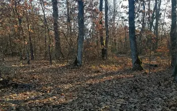 Auction image Land for building