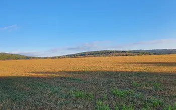 Auction image Farmland