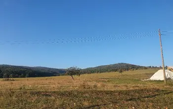 Auction image Farmland