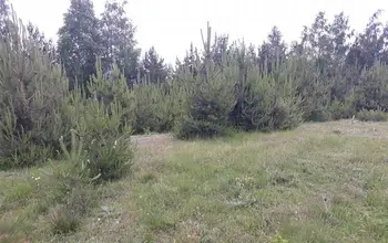 Auction image Land for building