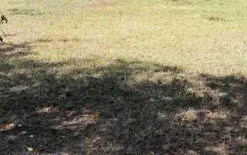 Auction image Land for building