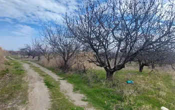 Farmland