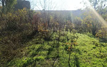 Auction image Land for building