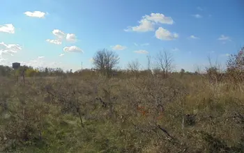 Auction image Farmland