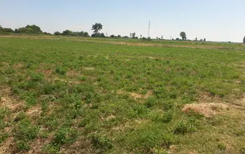 Auction image Farmland